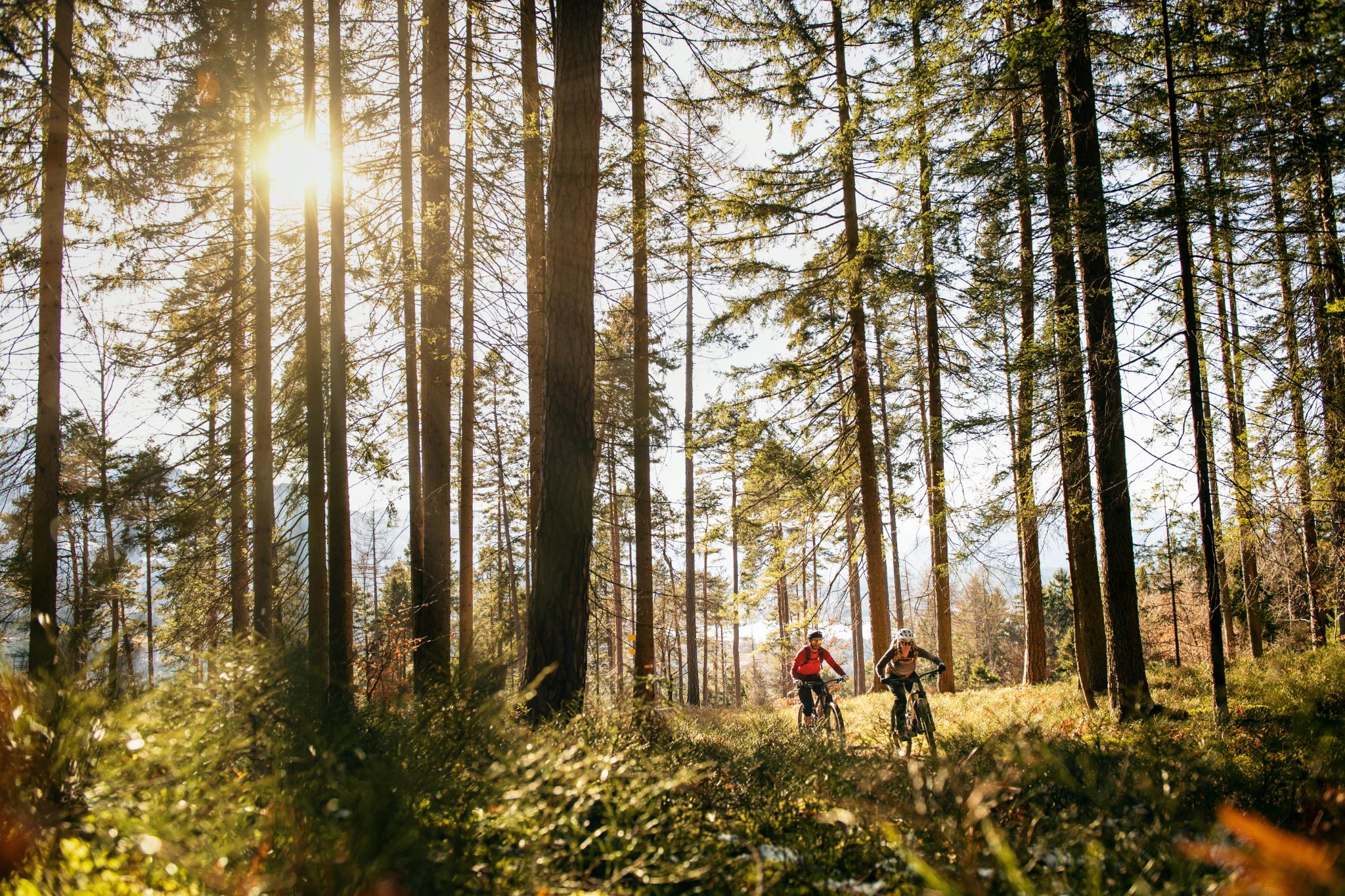 E-MTB Hardtail | Markenräder günstig kaufen